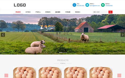 畜牧行業(yè)網(wǎng)站建設(shè)制作案例